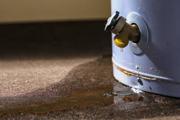 Best Water damage contractors near me  in Country Club Hls, IL