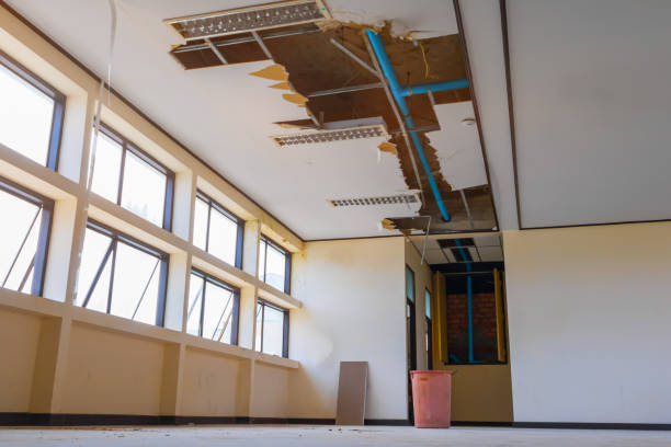 Best Residential water damage restoration  in Country Club Hls, IL