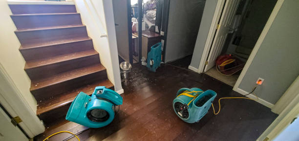 Best Water damage contractors near me  in Country Club Hls, IL