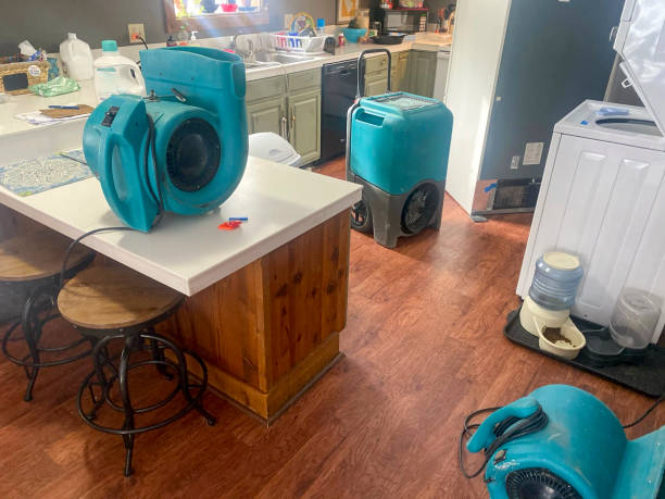 Best Water damage restoration near me  in Country Club Hls, IL