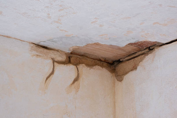 Best Basement water damage restoration  in Country Club Hls, IL