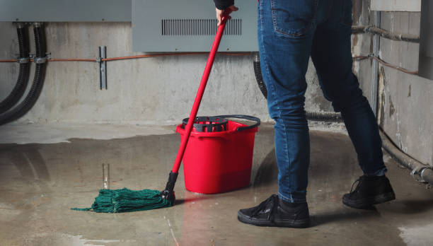 Best Professional water damage repair  in Country Club Hls, IL