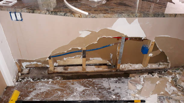 Best Water damage restoration specialists  in Country Club Hls, IL