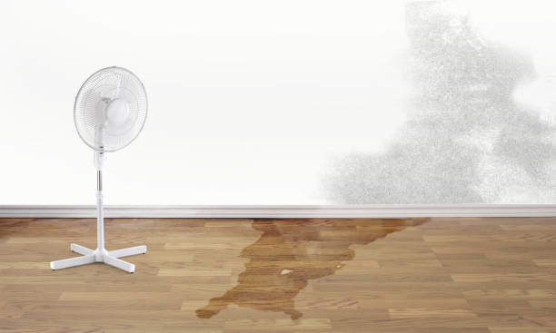 Best Fire Damage Restoration  in Country Club Hls, IL