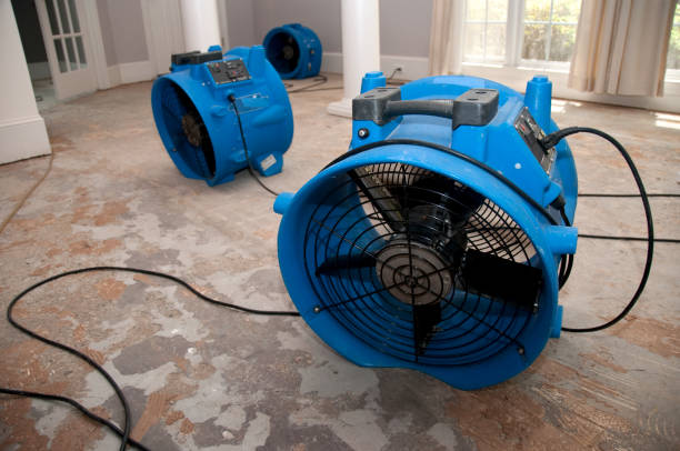Best Flooded house restoration  in Country Club Hls, IL