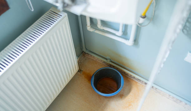 Best Local water damage restoration  in Country Club Hls, IL
