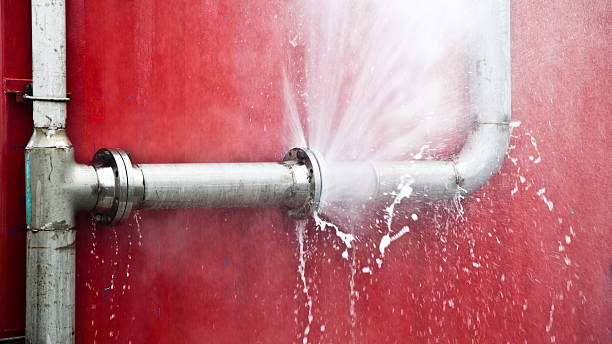 Best Water damage cleanup near me  in Country Club Hls, IL